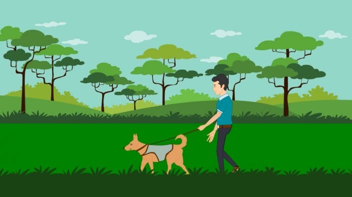 Dog Walking & Sitting Explainer Video Dog Walking & Sitting Explainer Video
