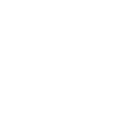 AnimationVideo.co Logo